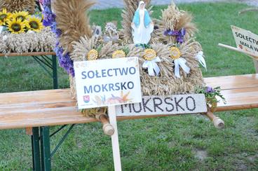 Święto Plonów Powiatu Wieluńskiego odbyło się w Osjakowie